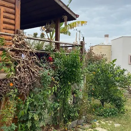 Sekoya Pansiyon ספריהיסאר